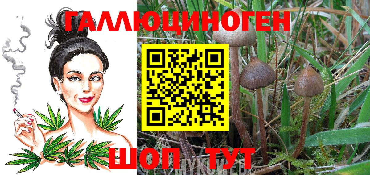 Псилоцибиновые грибы Psilocybine cubensis  Вход с VPN  Ишимбай 